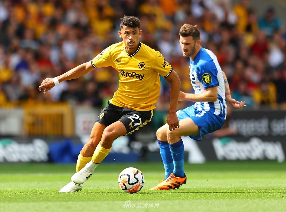 经历了一些 经历了一些